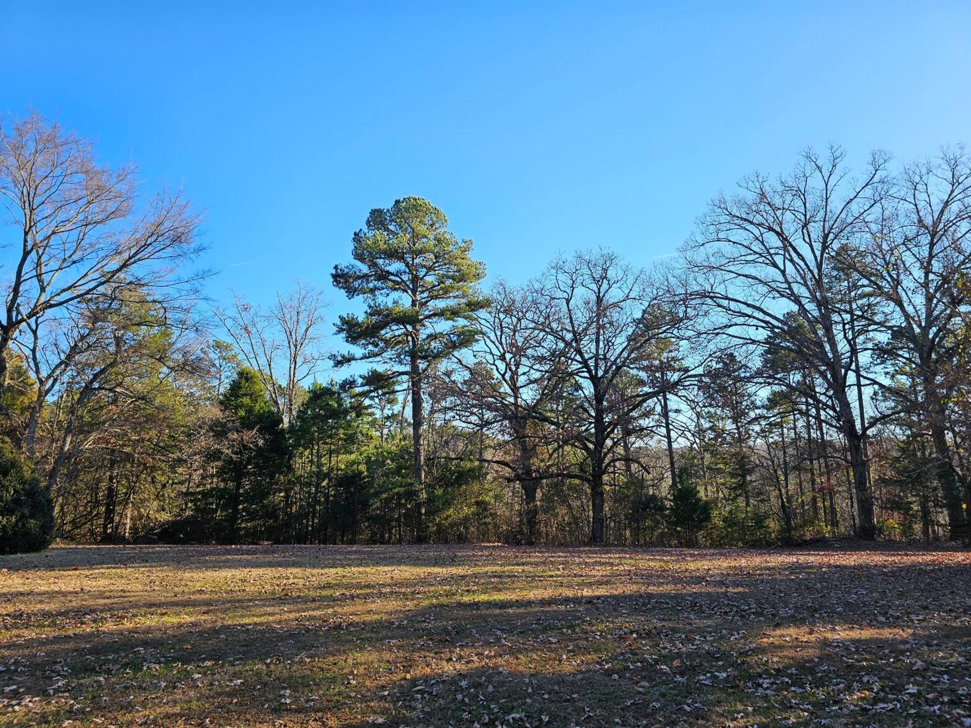 5 Min To Beaver Lake-King Bed-Fire Pit-Jetted Tub #2 Eureka Springs Buitenkant foto